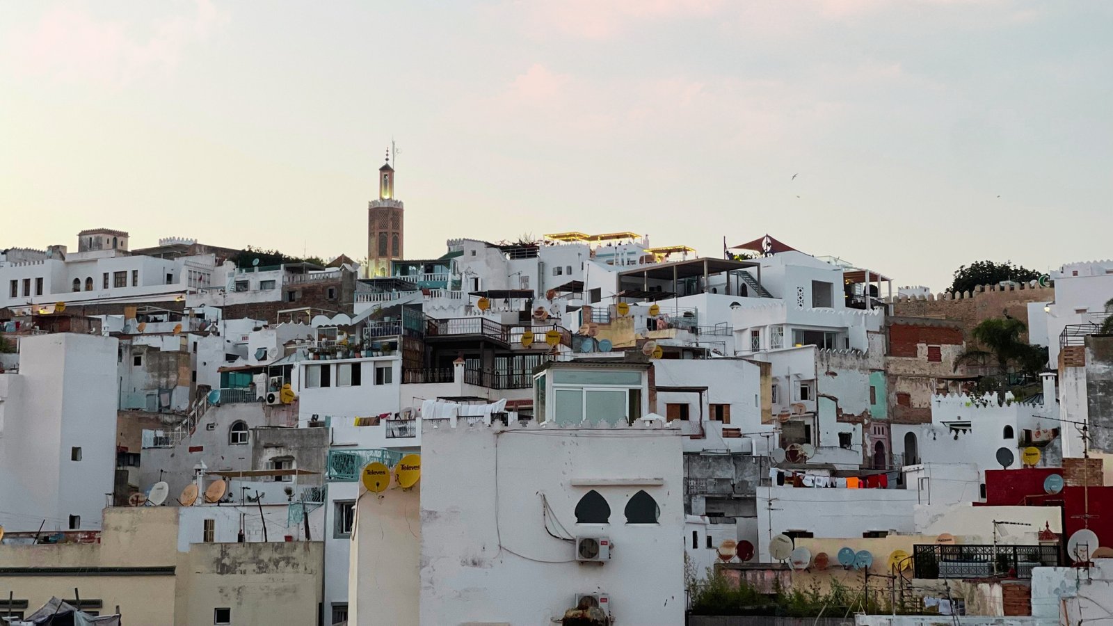 Untitled design (46)