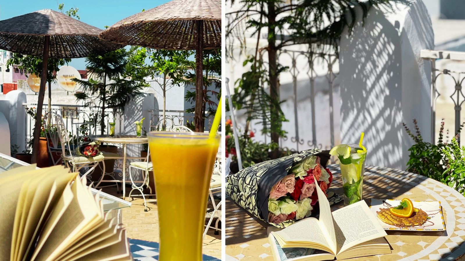 Untitled design (51)