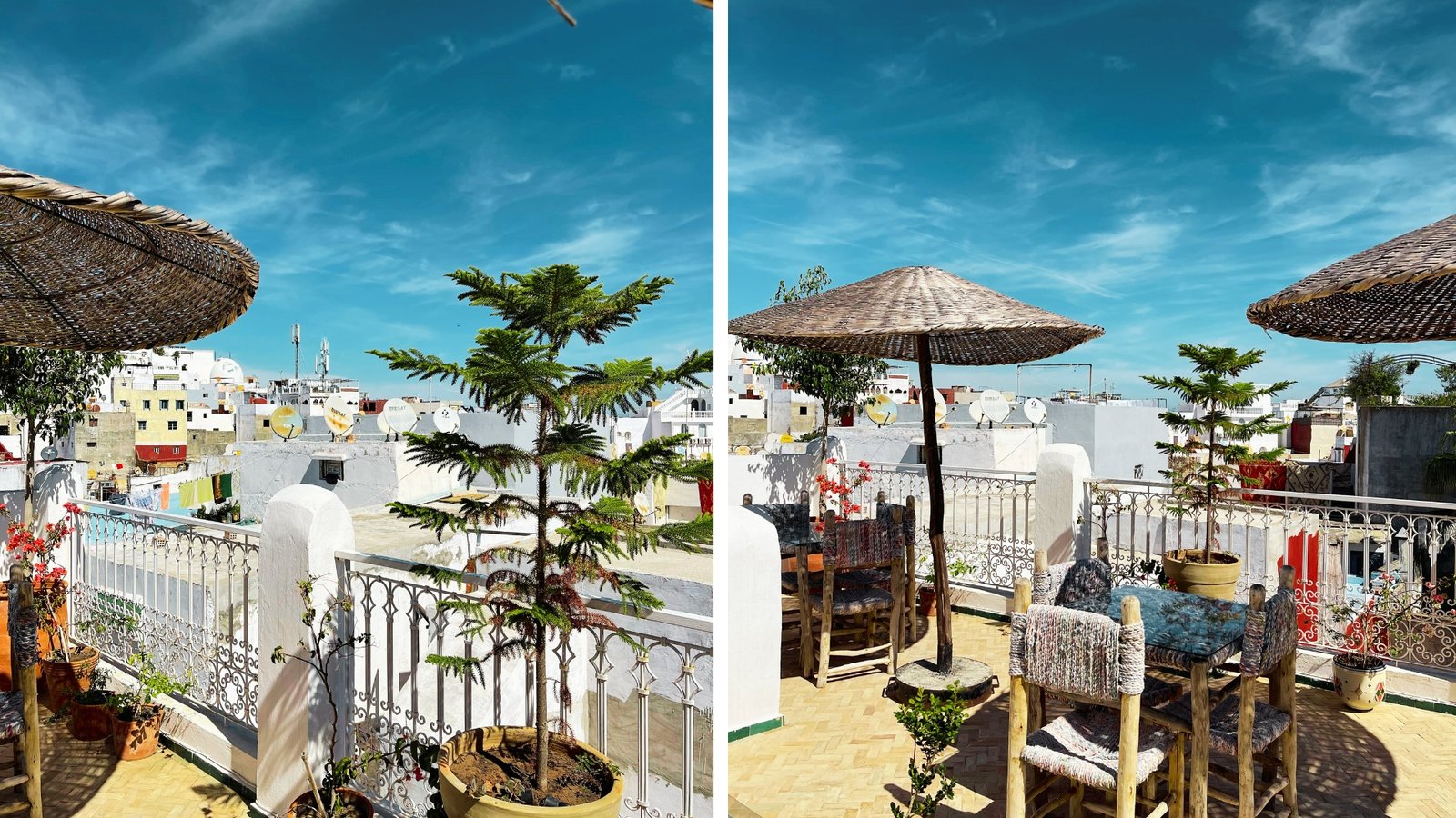 Untitled design (52)