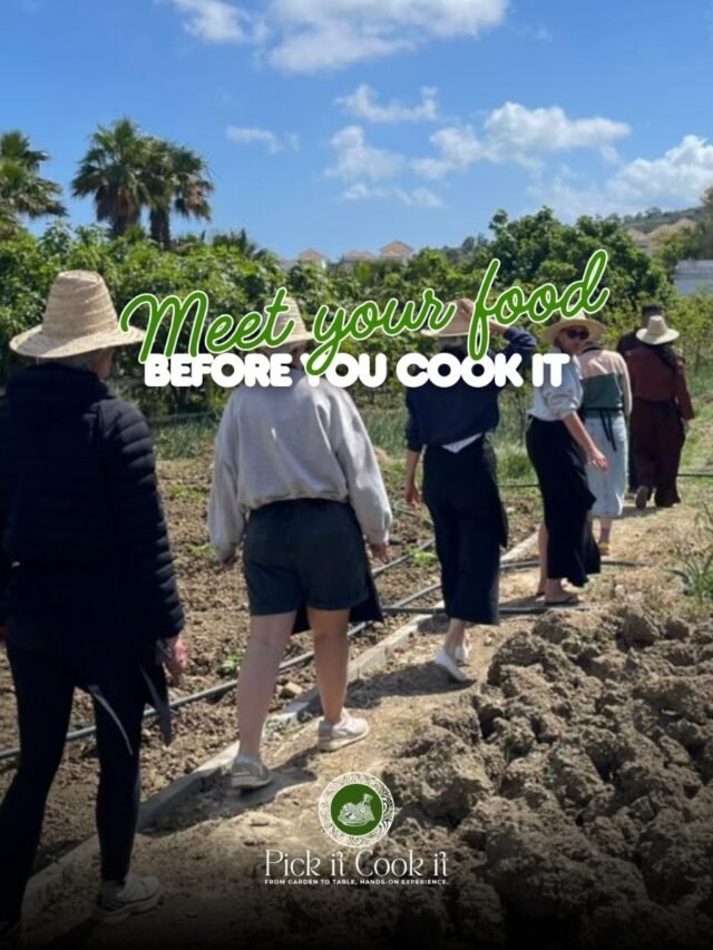 🌿✨ Pick it • Cook it • Tanger Adventure ✨🌿 Aujourd’hui on récolte directement du jardin sauvage sous le soleil de Tanger 🌞🍃 Une expérience authentique entre nature, cuisine locale et aventure au nord du Maroc 🇲🇦 À Tanger, le concept “Pick it Cook it” devient une vraie immersion : cueillir des légumes frais, découvrir les plantes locales et cuisiner avec des ingrédients 100% naturels 🌱🥗 📍 Tanger, Maroc 🌿 Organic garden experience 🥬 Fresh harvest 🍴 Farm to table Morocco ☀️ Nature & slow living vibes