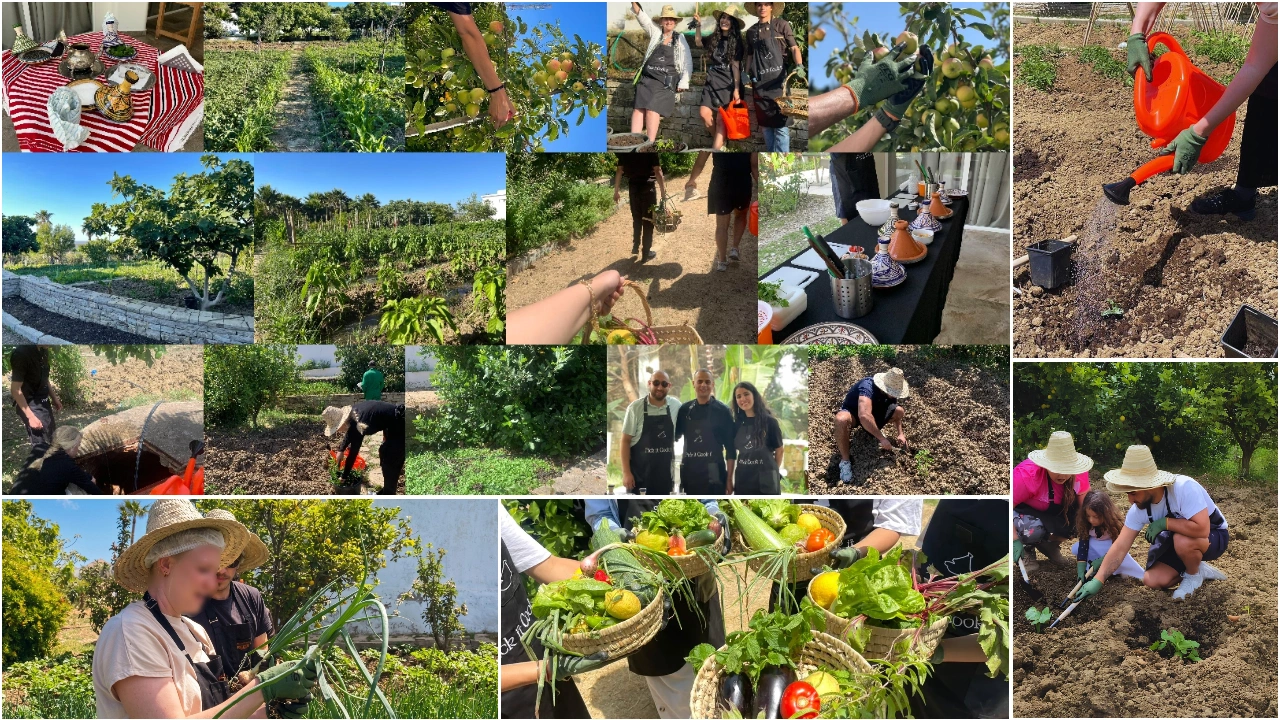 Morocco Farm to Table Experience in Tangier: Culinary Agritourism